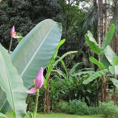 Sand Dollar Beach Bed & Breakfast Bocas del Toro Exteriör bild