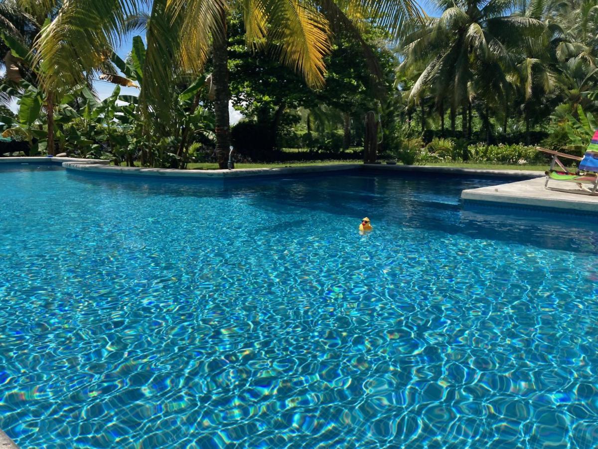 Sand Dollar Beach Bed & Breakfast Bocas del Toro Exteriör bild