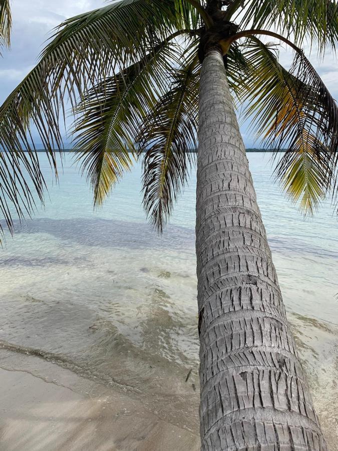 Sand Dollar Beach Bed & Breakfast Bocas del Toro Exteriör bild