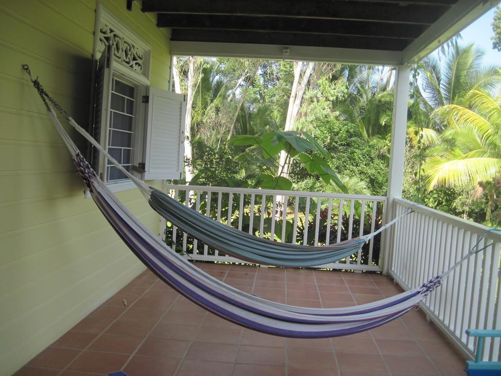 Sand Dollar Beach Bed & Breakfast Bocas del Toro Rum bild