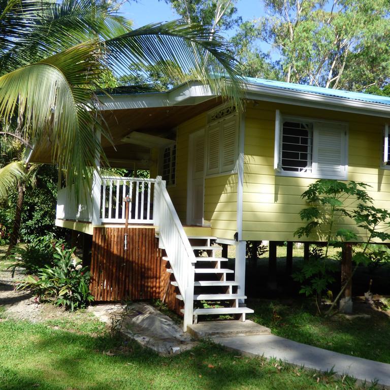 Sand Dollar Beach Bed & Breakfast Bocas del Toro Rum bild
