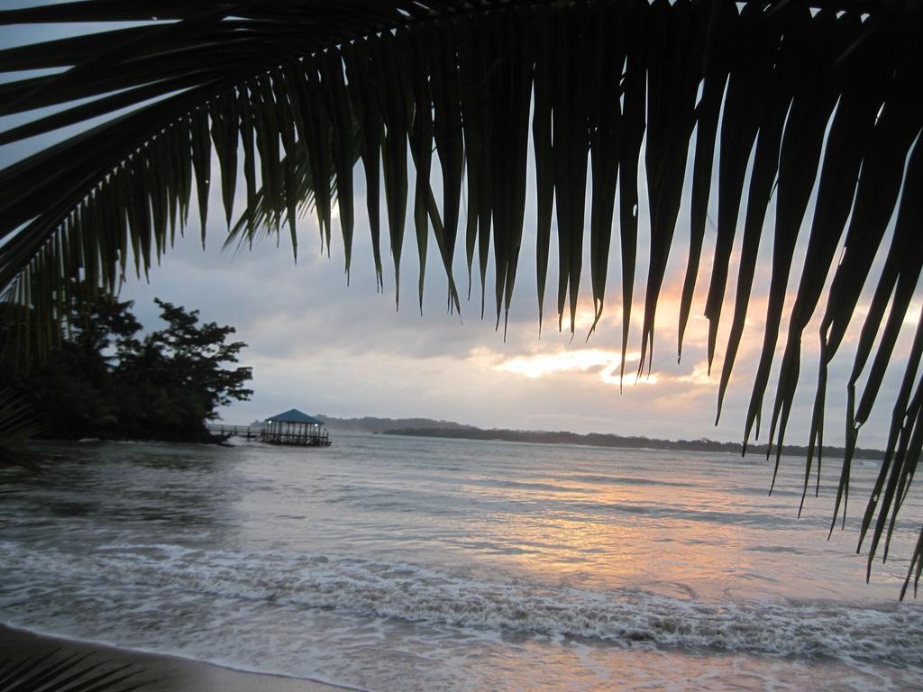 Sand Dollar Beach Bed & Breakfast Bocas del Toro Exteriör bild