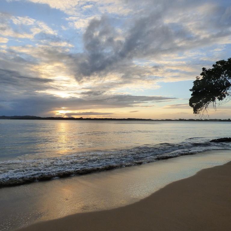 Sand Dollar Beach Bed & Breakfast Bocas del Toro Exteriör bild