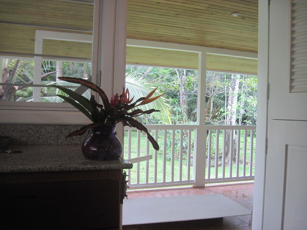 Sand Dollar Beach Bed & Breakfast Bocas del Toro Exteriör bild
