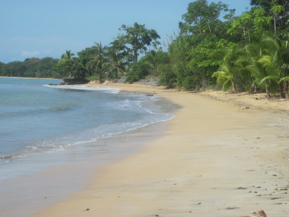 Sand Dollar Beach Bed & Breakfast Bocas del Toro Exteriör bild