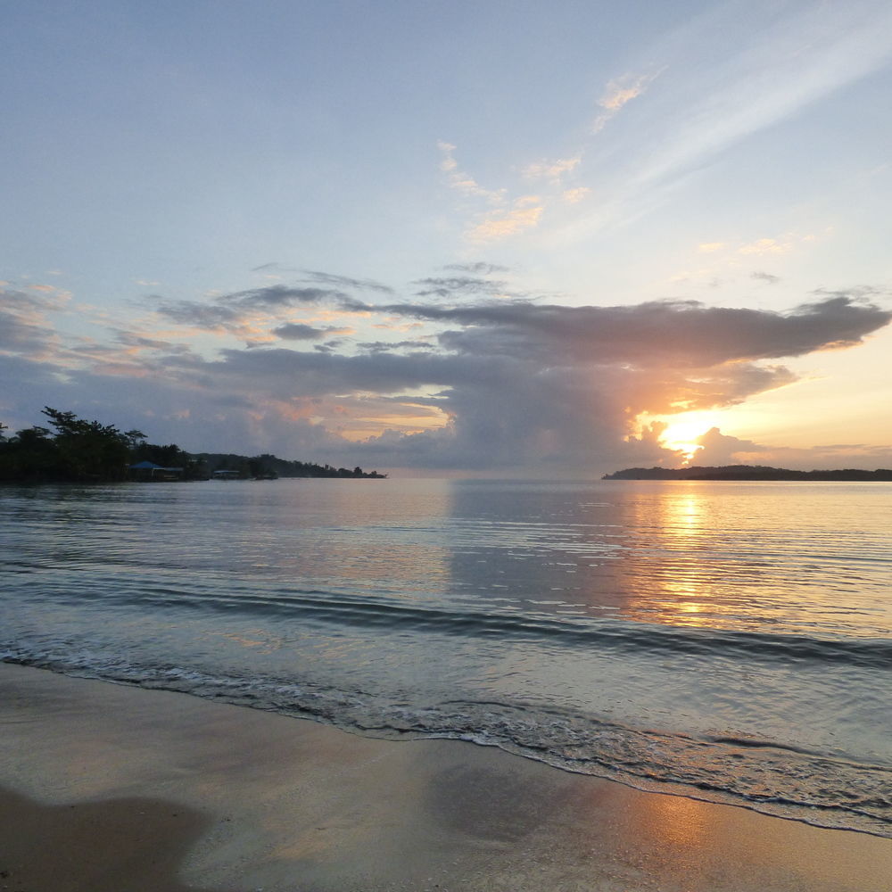 Sand Dollar Beach Bed & Breakfast Bocas del Toro Exteriör bild